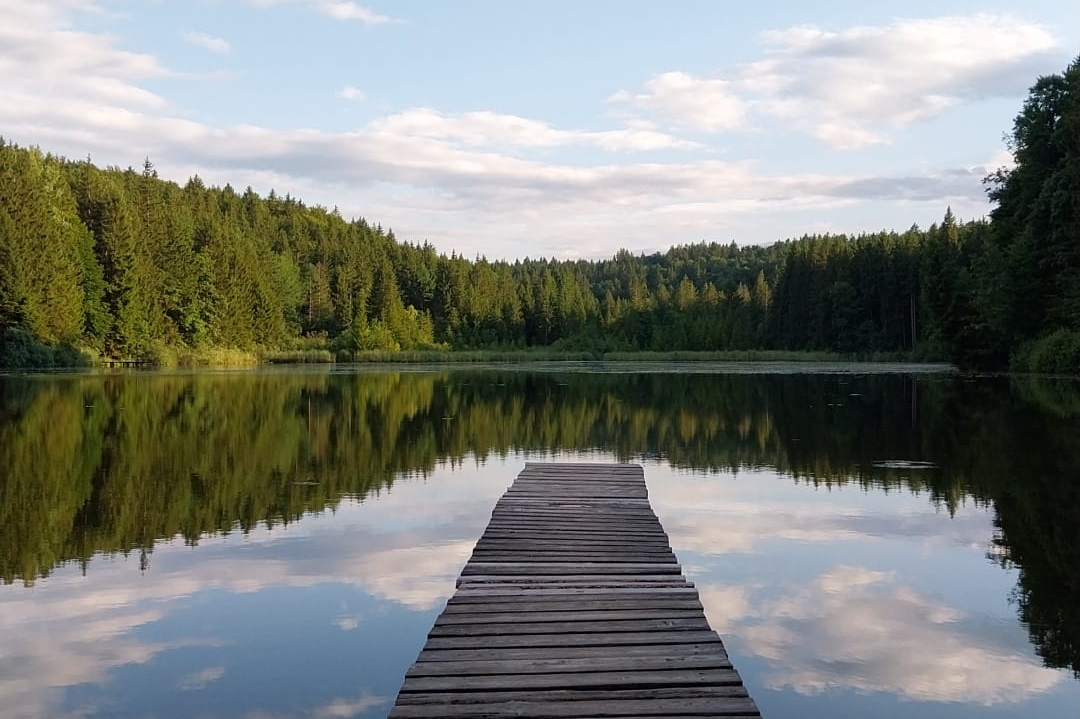 Dienhauser Weiher