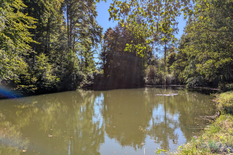Eggersdorfer Weiher