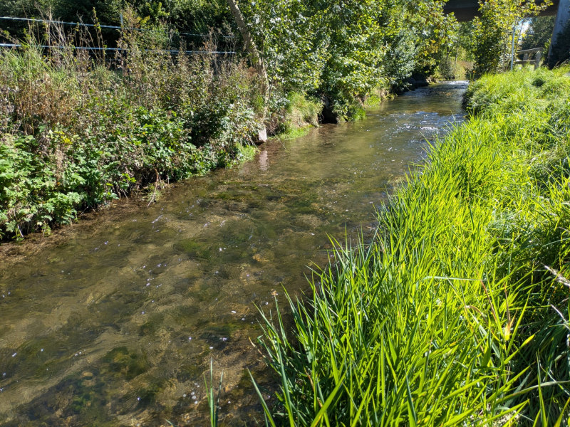 Fluss