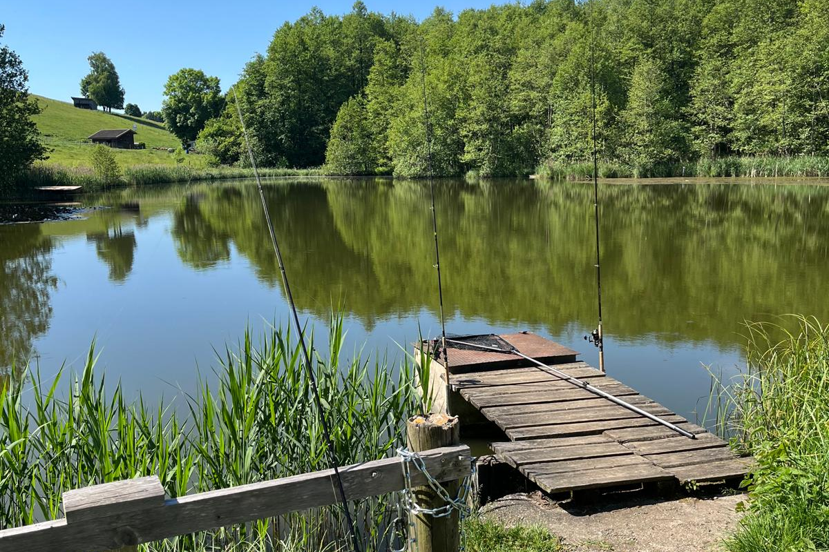 Mehnhofer Weiher