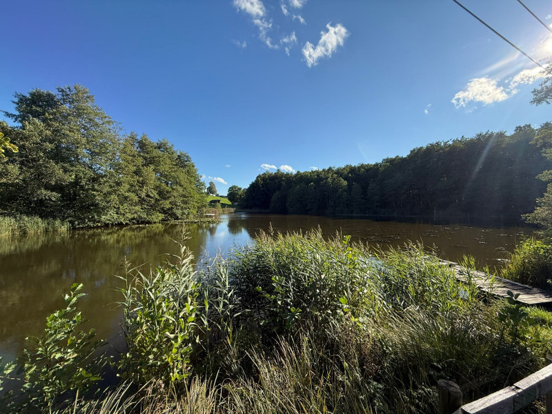 Weiher