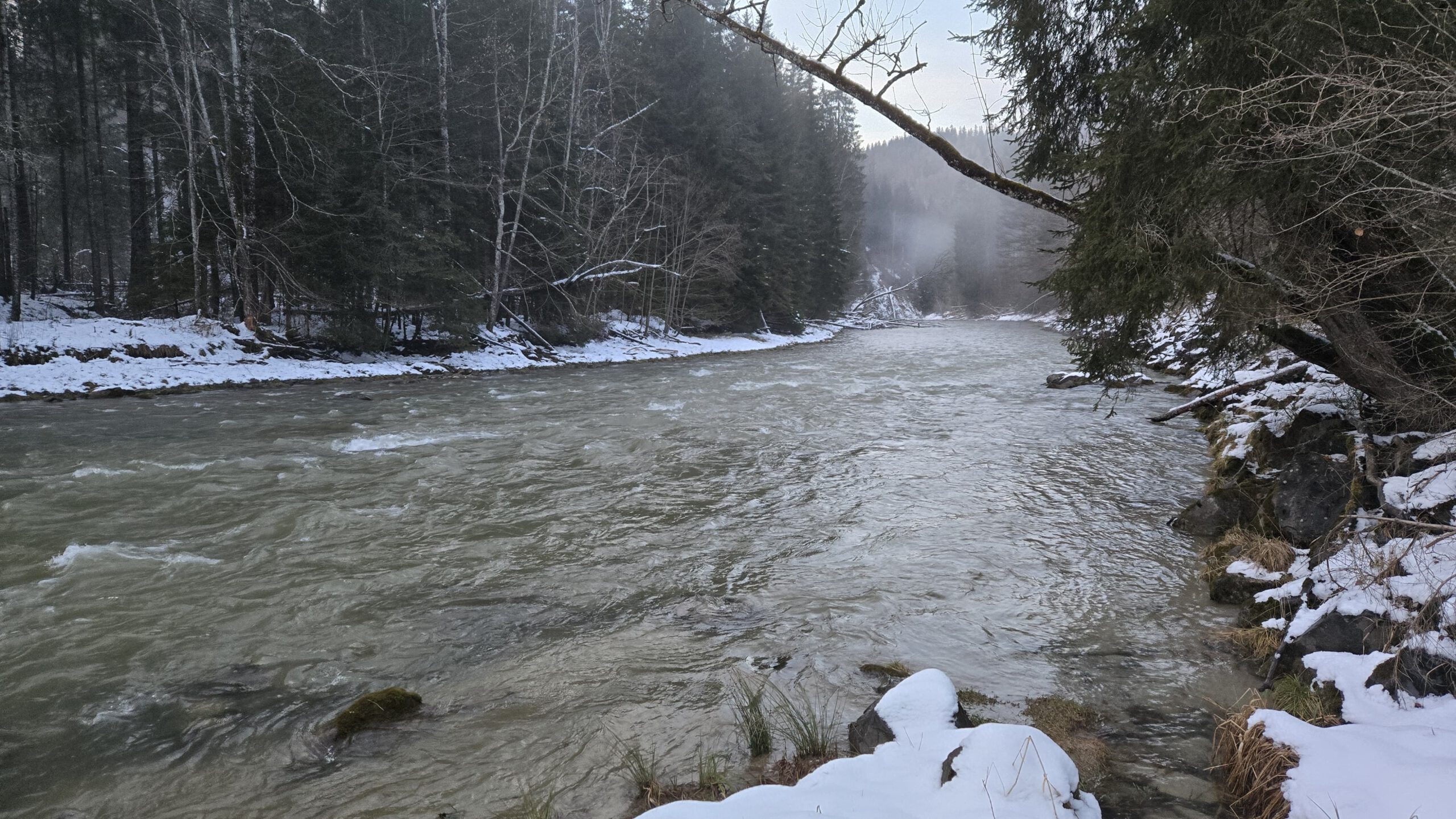 Bach im Winter